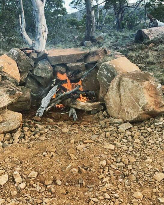 Great Lakes Wilderness Three Bedroom Home Miena Экстерьер фото